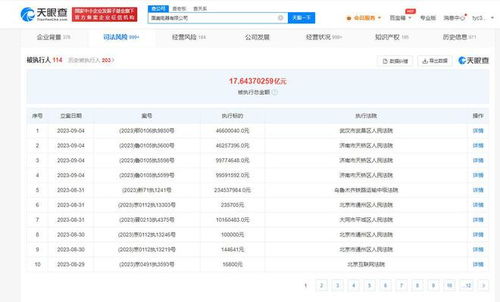 國(guó)美電器新增多條被執(zhí)行人信息，被執(zhí)行總金額超17億元