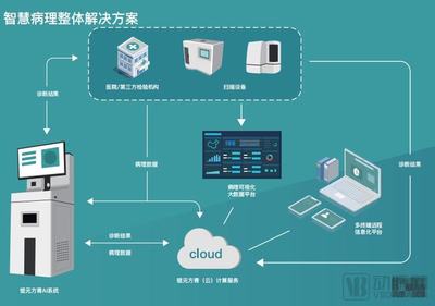 錕元方青 以病理專家視角引領(lǐng)創(chuàng)新，做智慧病理產(chǎn)業(yè)實(shí)踐的排頭兵